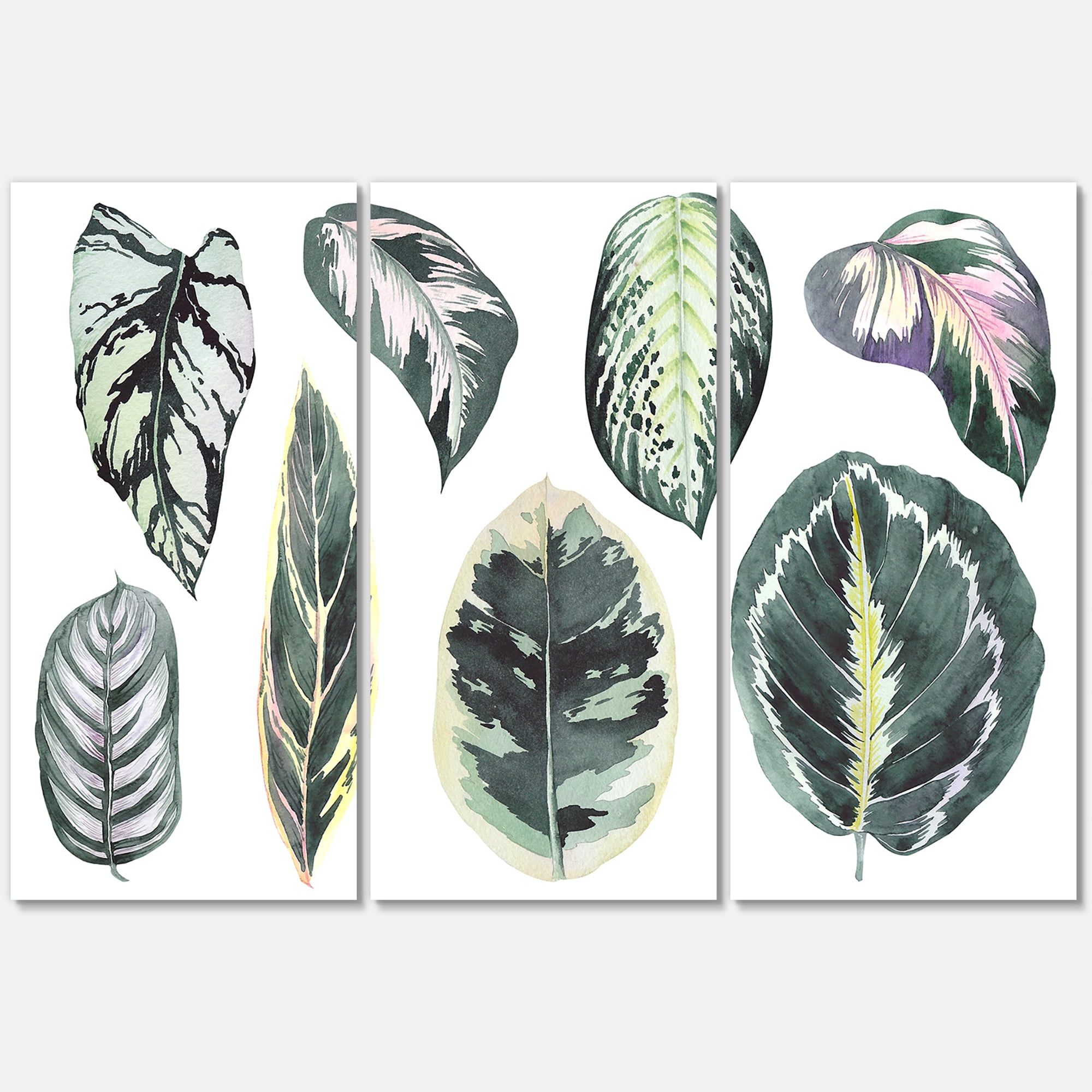 Designart ' Tropical Calathea Leaves On White ' Bohemian & Eclectic Canvas Wall Art Print