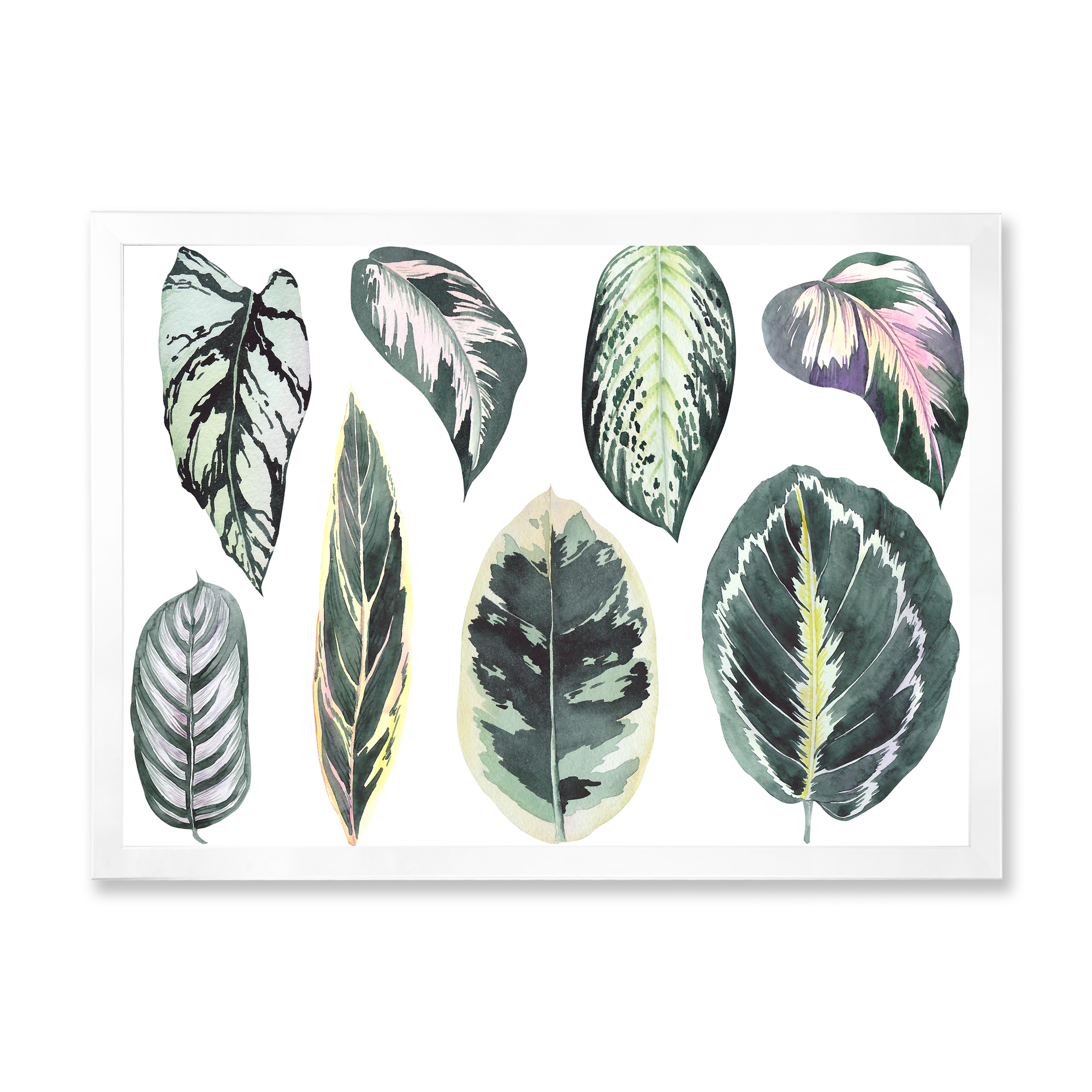 Designart 'Tropical Calathea Leaves On White' Bohemian & Eclectic Framed Art Print