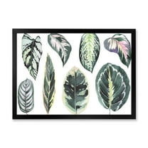 Designart 'Tropical Calathea Leaves On White' Bohemian & Eclectic Framed Art Print