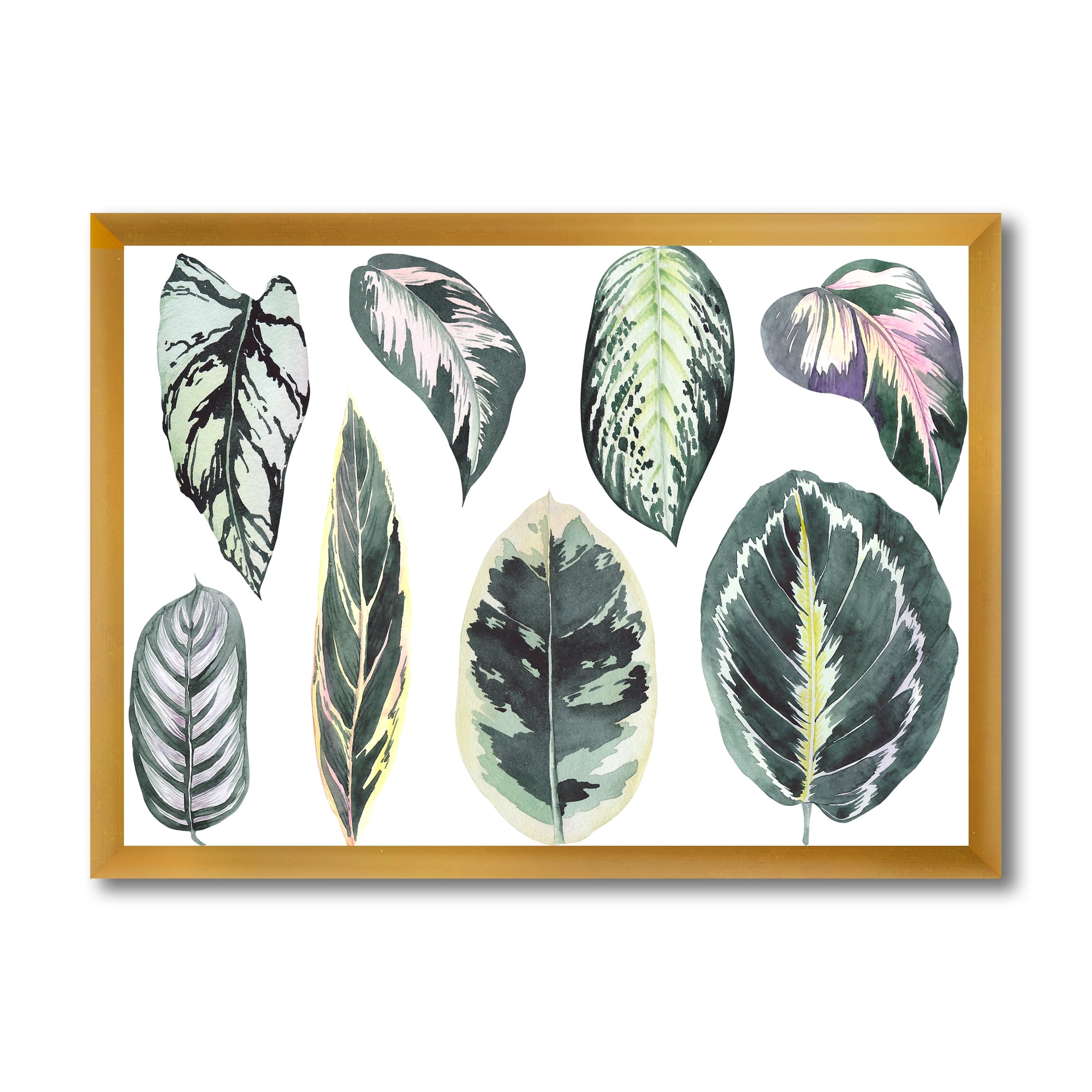 Designart 'Tropical Calathea Leaves On White' Bohemian & Eclectic Framed Art Print