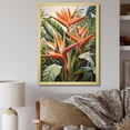thumbnail image 1 of Designart "Tropical Flowers Birds of Paradise I" Floral Framed Wall Art - Traditional Orange Birds Of Paradise Entryway Framed Wall Art Print, 1 of 6