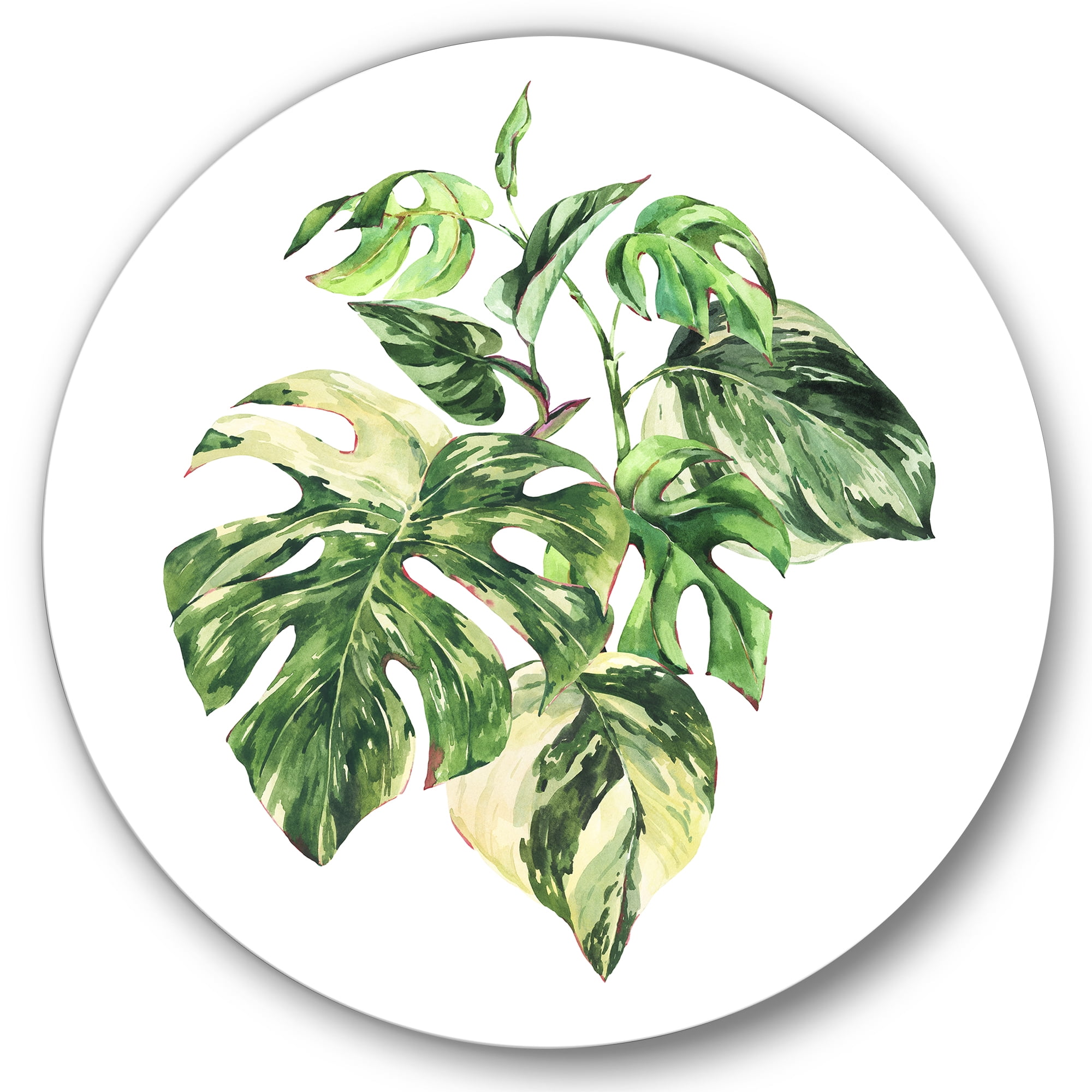Designart 'Tropical Green Leaves On White In Summer Times I' Tropical Circle Metal Wall Art 23x23 - Disc of 23