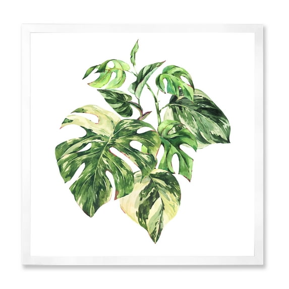 Designart 'Tropical Green Leaves On White In Summer Times I' Tropical Framed Art Print