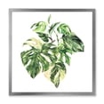 thumbnail image 1 of Designart 'Tropical Green Leaves On White In Summer Times I' Tropical Framed Art Print, 1 of 4