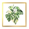 thumbnail image 1 of Designart 'Tropical Green Leaves On White In Summer Times I' Tropical Framed Art Print, 1 of 4