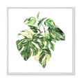 thumbnail image 1 of Designart 'Tropical Green Leaves On White In Summer Times I' Tropical Framed Canvas Wall Art Print, 1 of 5
