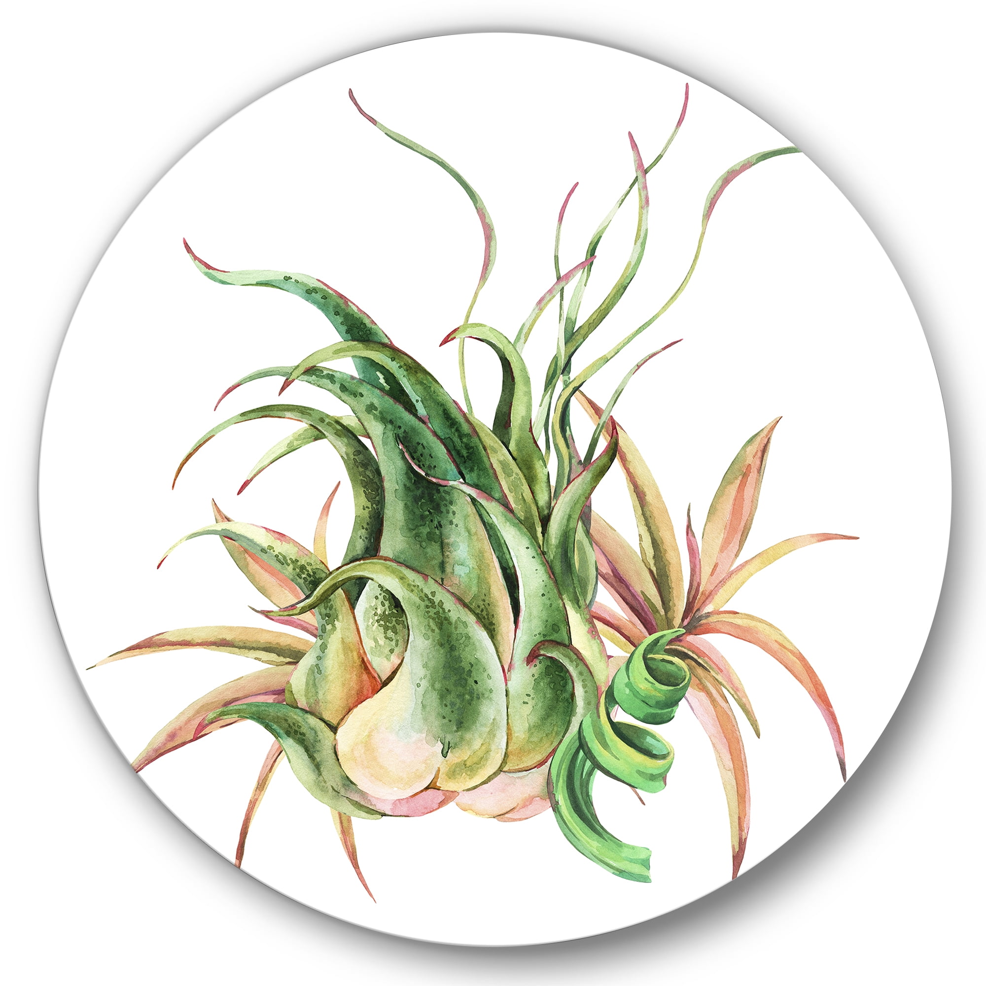 Designart 'Tropical Leaves Air Plant Succulent On White' Farmhouse Circle Metal Wall Art 36x36 - Disc of 36