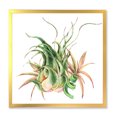 thumbnail image 1 of Designart 'Tropical Leaves Air Plant Succulent On White' Farmhouse Framed Art Print, 1 of 4