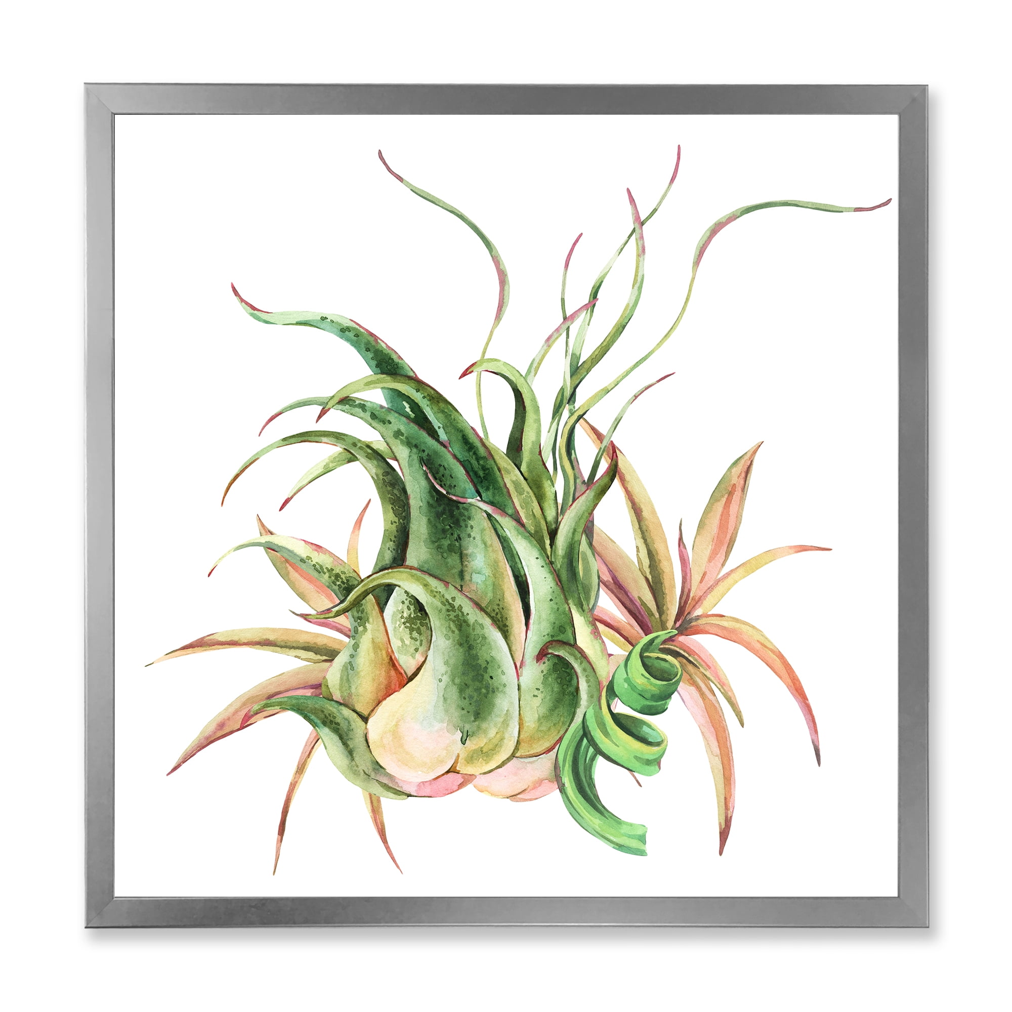 Designart 'Tropical Leaves Air Plant Succulent On White' Farmhouse Framed Art Print