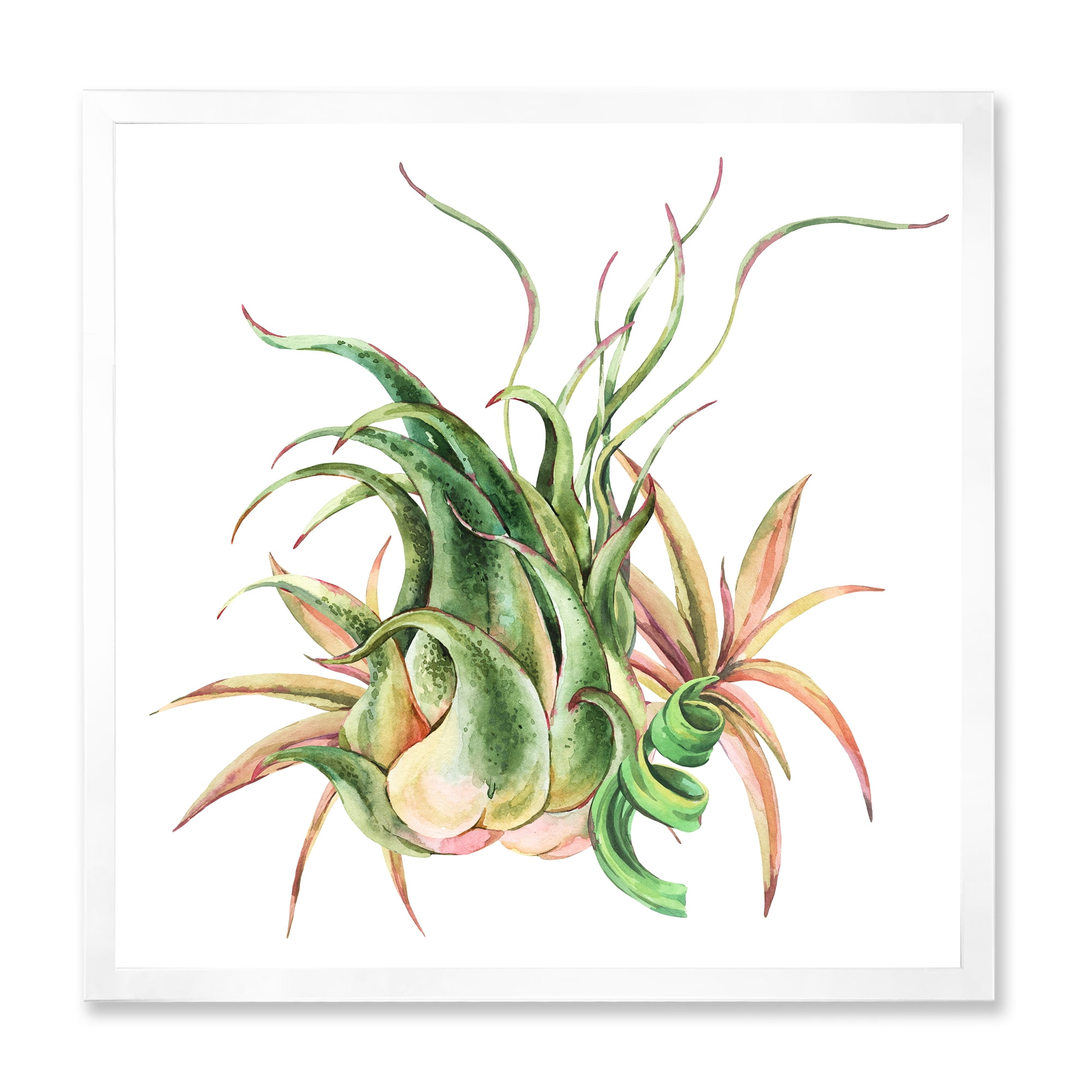 Designart 'Tropical Leaves Air Plant Succulent On White' Farmhouse Framed Art Print
