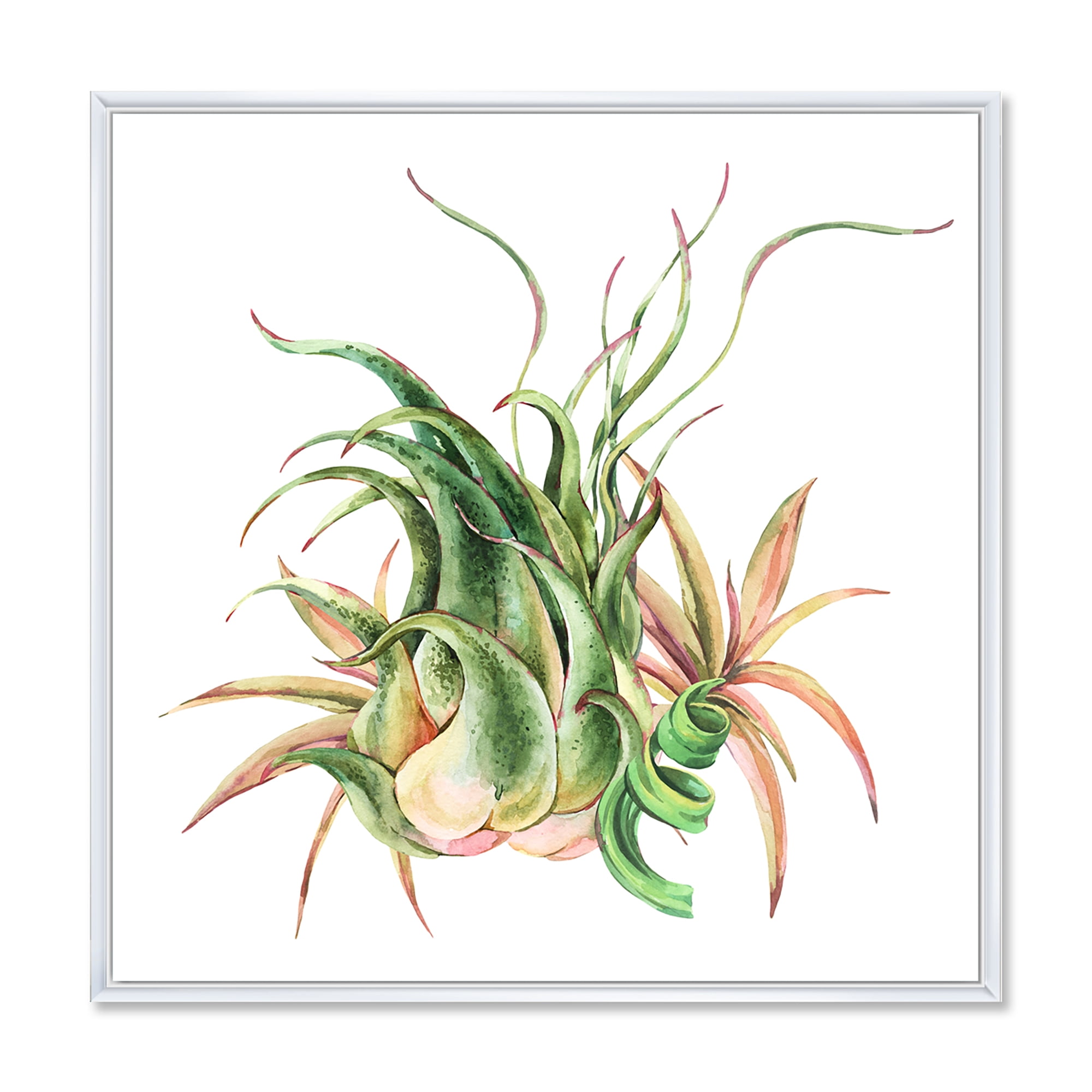 Designart 'Tropical Leaves Air Plant Succulent On White' Farmhouse Framed Canvas Wall Art Print