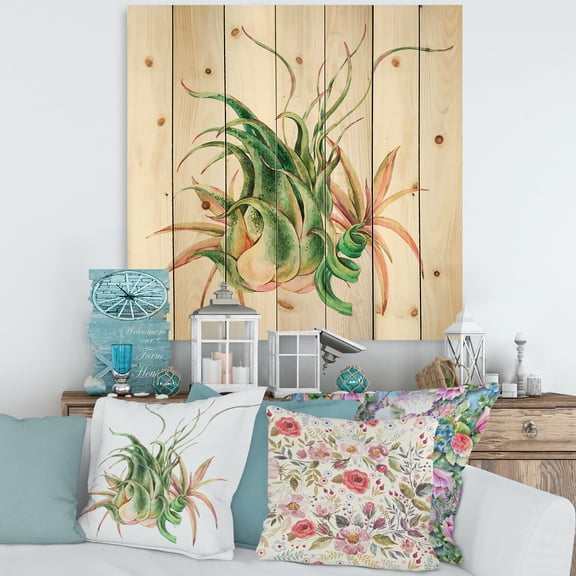 Designart 'Tropical Leaves Air Plant Succulent On White' Farmhouse Print on Natural Pine Wood