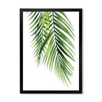 Designart 'Tropical Palm Branches' Tropical Framed Art Print