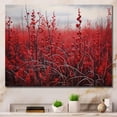 thumbnail image 1 of Designart "Tundra in Canada s North I" Cities & Countries Wall Art Living Room, 1 of 5