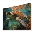 thumbnail image 1 of Designart "Turtle Encounter Green Blue Marine Animals V" Marine Animals Print on Natural Pine Wood, 1 of 5