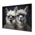 thumbnail image 1 of Designart "Two Alcapas beautyful Guardians II" Animals Metal Wall Art, 1 of 5