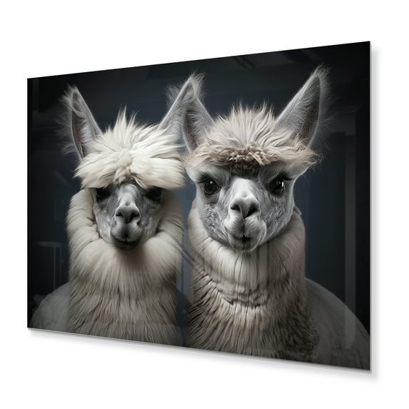 Designart "Two Alcapas beautyful Guardians II" Animals Metal Wall Art