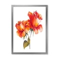 thumbnail image 1 of Designart 'Two Blossoming Red Roses On White' Traditional Framed Art Print, 1 of 4