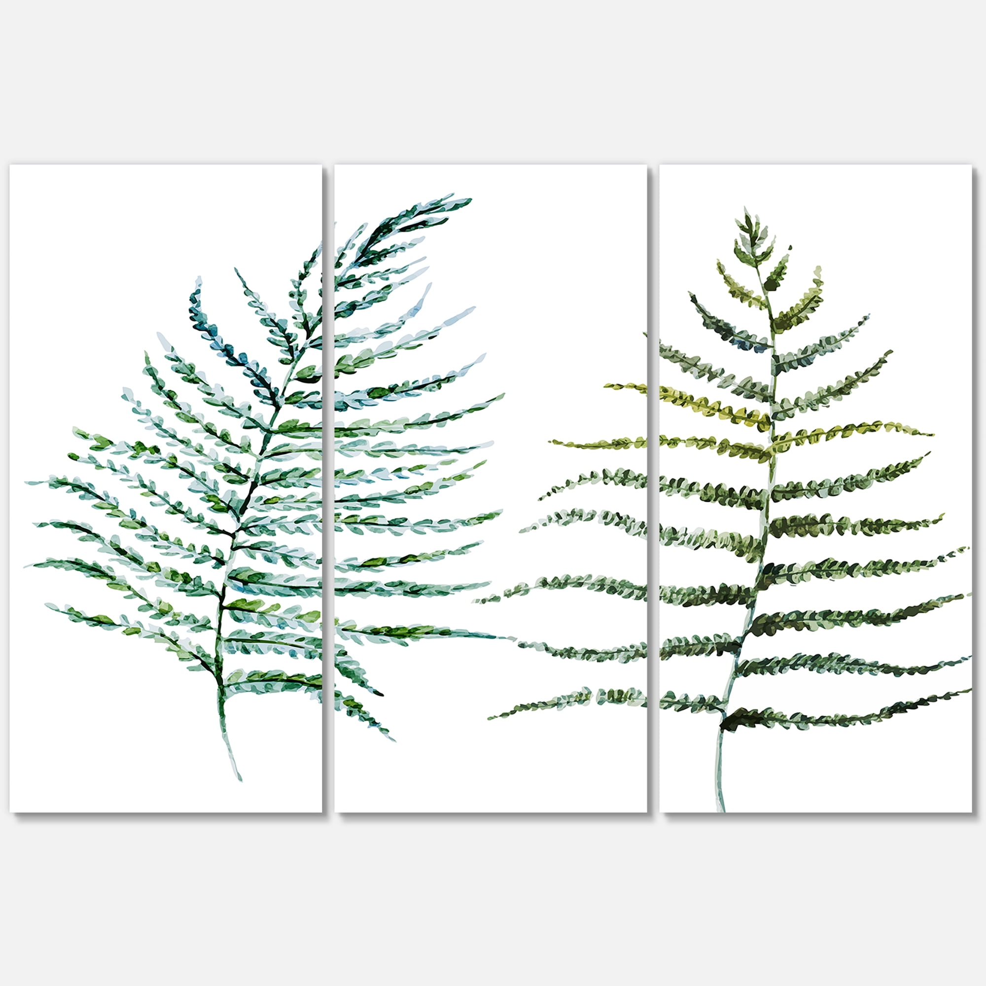 Designart ' Two Fern Leaves On White ' Farmhouse Canvas Wall Art Print