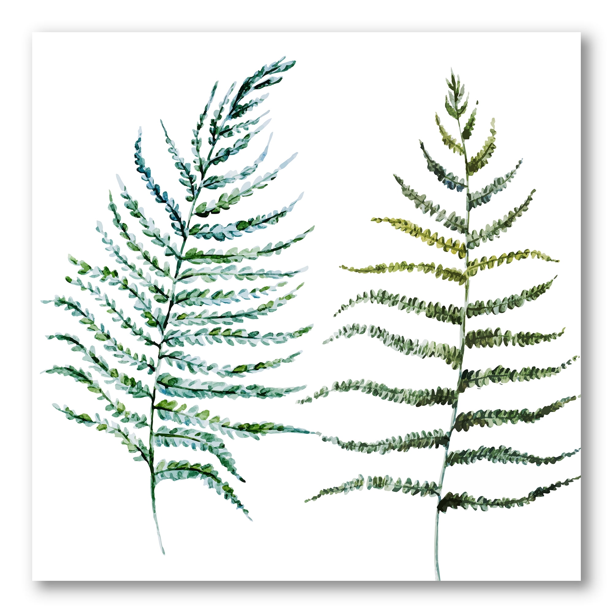 Designart ' Two Fern Leaves On White ' Farmhouse Canvas Wall Art Print