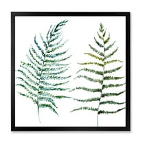 Designart 'Two Fern Leaves On White' Farmhouse Framed Art Print