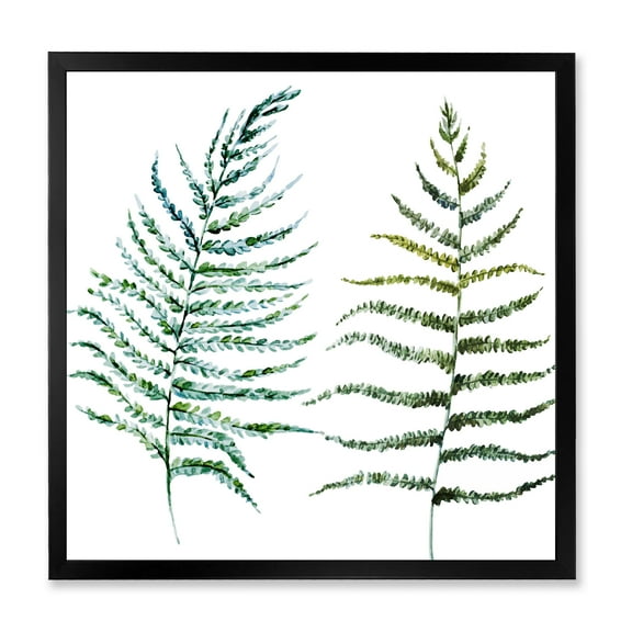 Designart 'Two Fern Leaves On White' Farmhouse Framed Art Print
