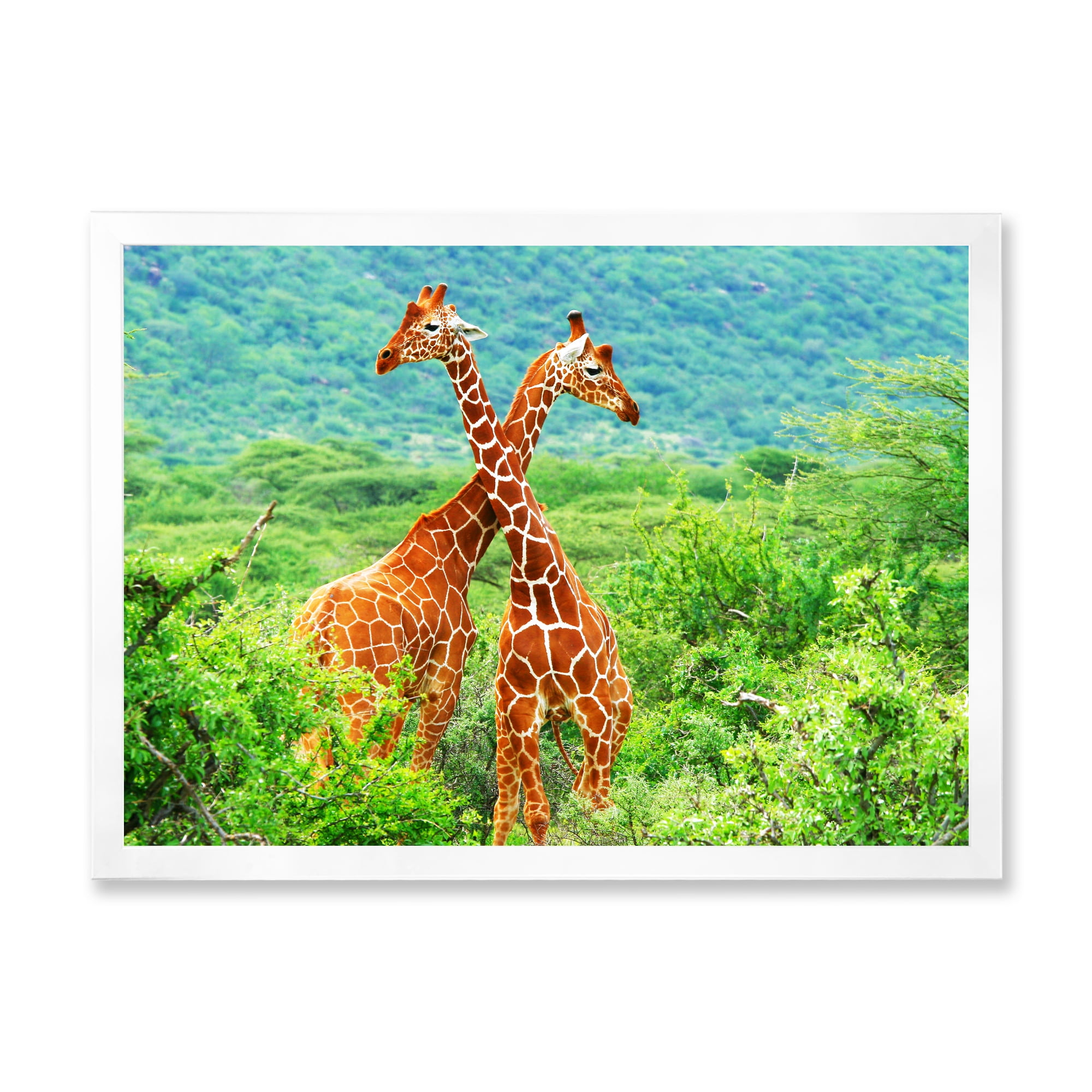 Designart 'Two Giraffes Fighting In Lush Green Wild' Farmhouse Framed Art Print