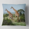 thumbnail image 1 of Designart Two Giraffes in African Savannah - African Throw Pillow - 16x16, 1 of 4