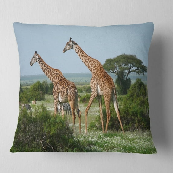 Designart Two Giraffes in African Savannah - African Throw Pillow - 18x18