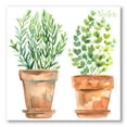 thumbnail image 1 of Designart ' Two Green House Plants In Orange Cly Pots ' Traditional Canvas Wall Art Print, 1 of 4