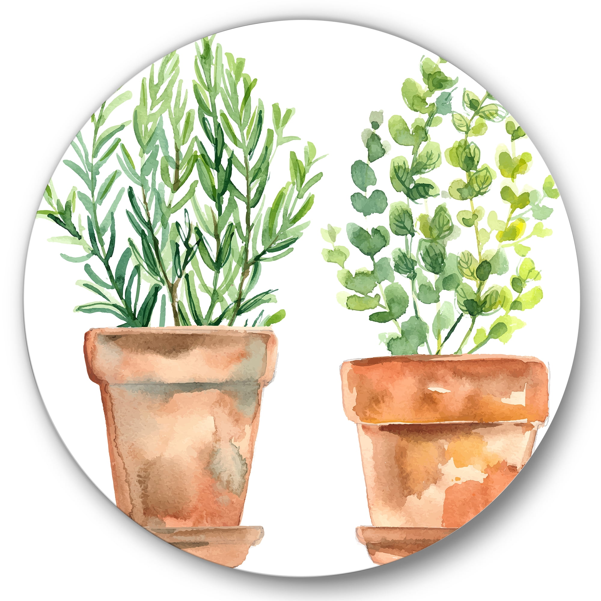 Designart 'Two Green House Plants In Orange Cly Pots' Traditional Circle Metal Wall Art 29x29 - Disc of 29