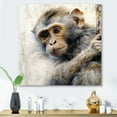 thumbnail image 1 of Designart "Untamed Monkey II" Animals Metal Art Living Room, 1 of 5
