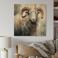 thumbnail image 1 of Designart "Untamed Sheep II" Animals Print on Natural Pine Wood, 1 of 1