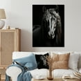 thumbnail image 1 of Designart "Vibrant Portrait Black White Horse" Animals Horse Metal Art Print, 1 of 5