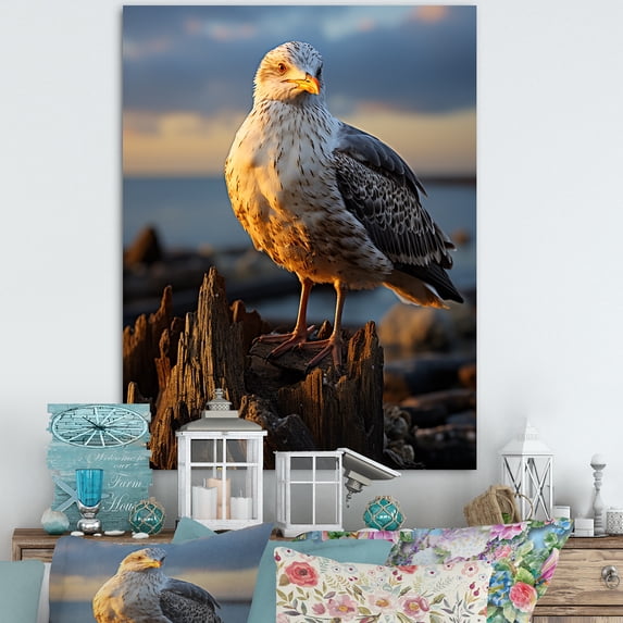 Designart "Vibrant Portrait Seagull on Rock" Animals Wall Decor