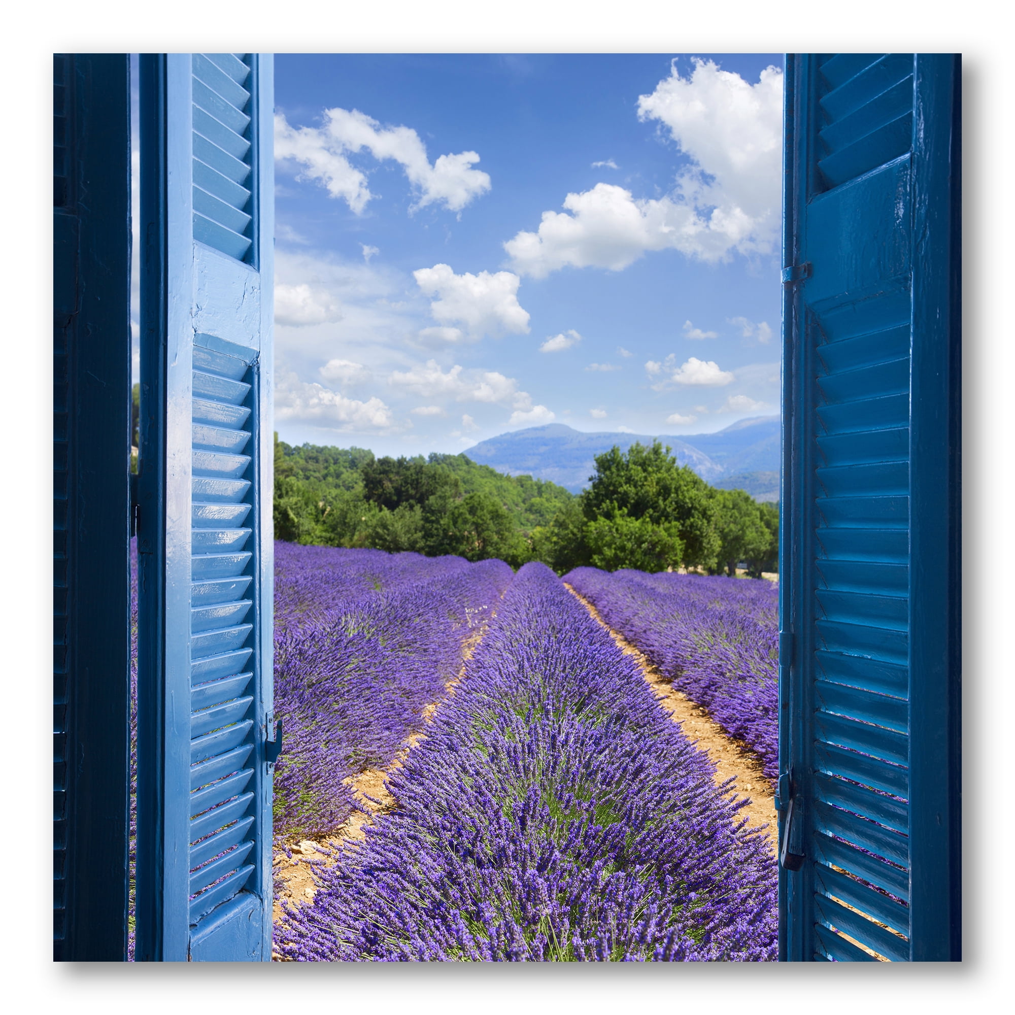 Designart ' View of Lavender Field Through Blue Open Cottage Window ' Farmhouse Canvas Wall Art Print