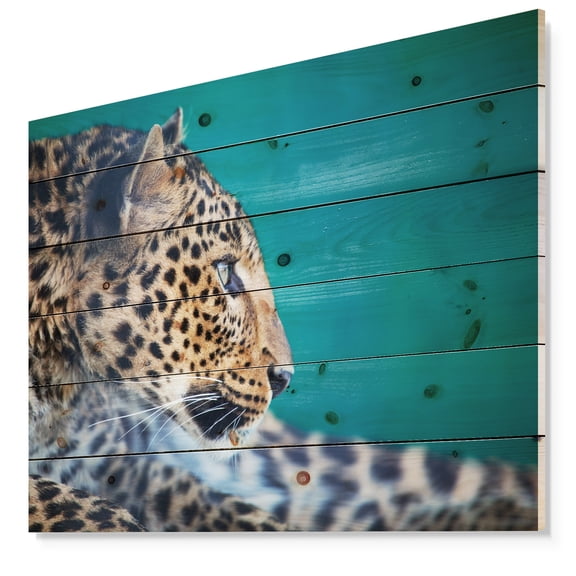 Designart 'Vigilant Leopard Close Up View' African Print on Natural Pine Wood