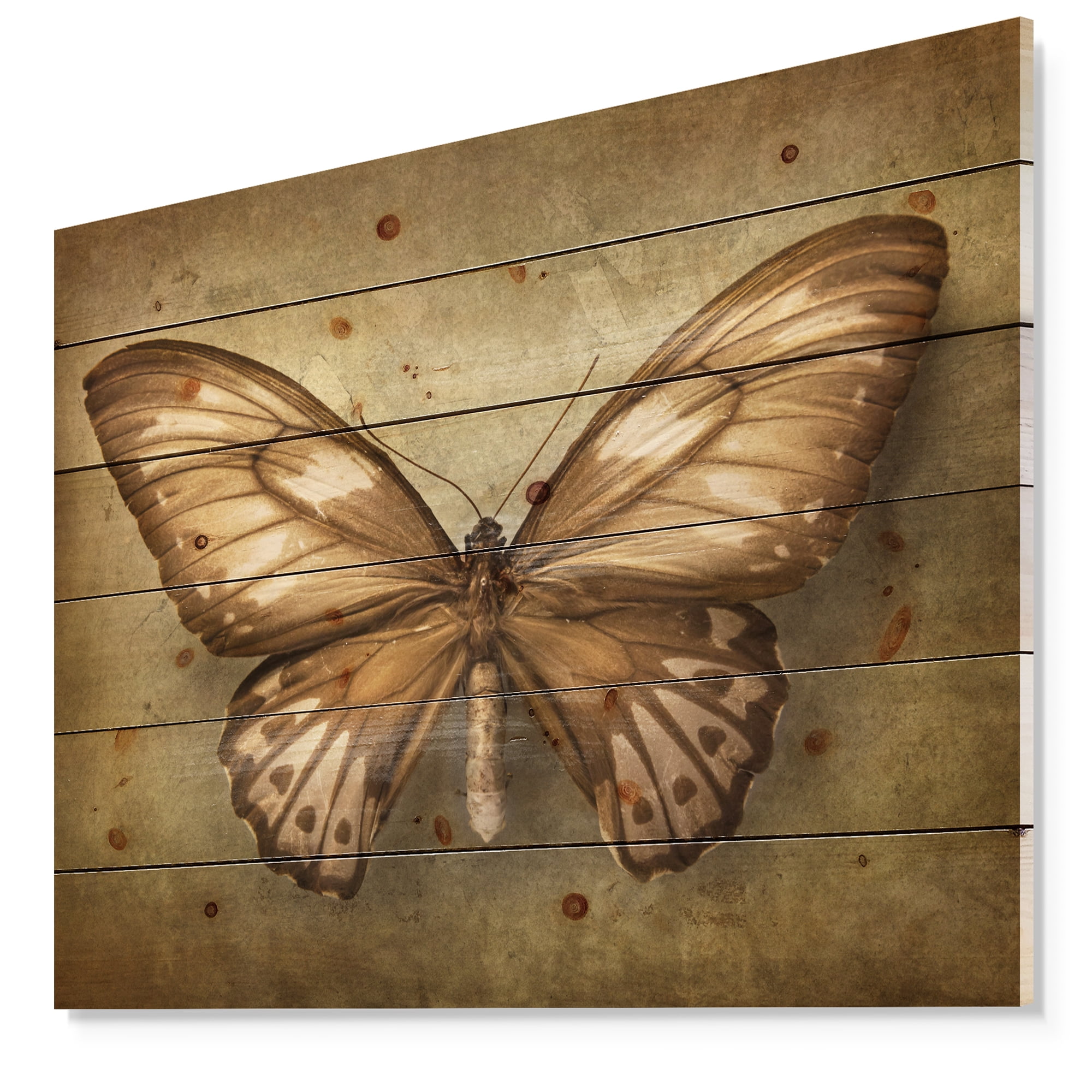 Designart Vintage Butterfly Print on Natural Pine Wood Painting, 40" x 30"