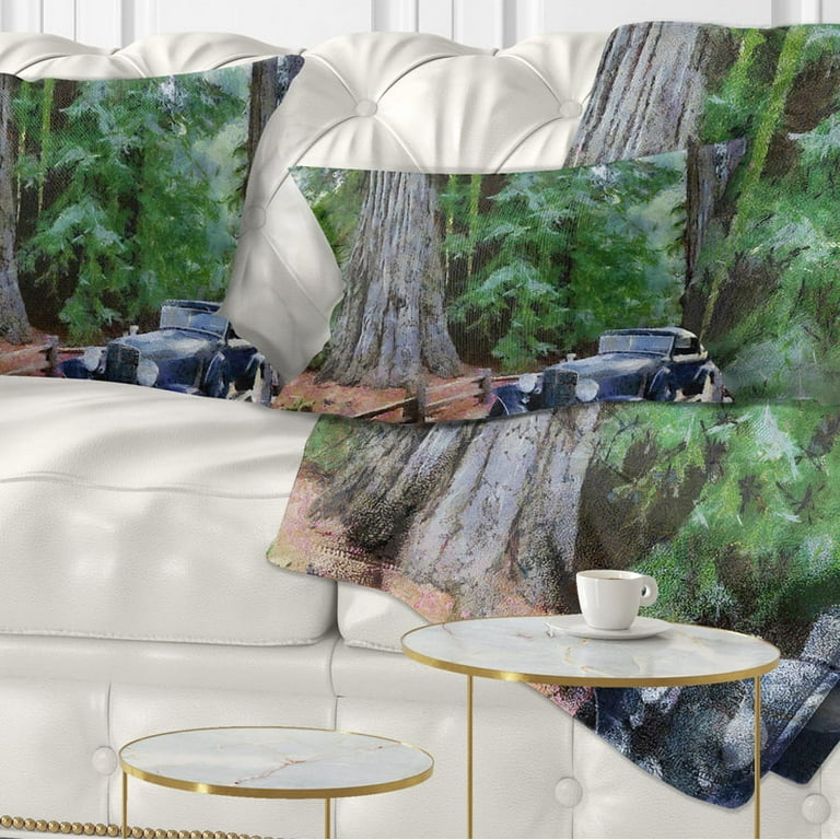 Vintage car throw pillows deals