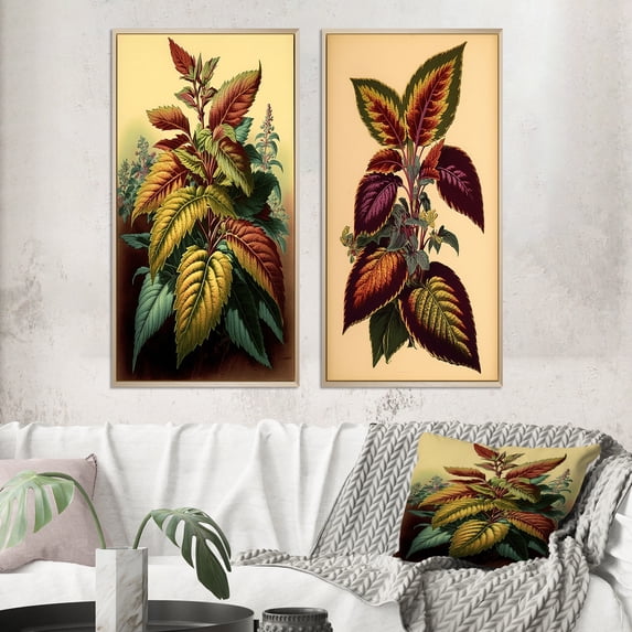 Designart "Vintage Coleus Plant Botanical Illustration I" Ferns Framed Wall Art Set Of 2 - Modern Green Framed Wall Art Set Of 2