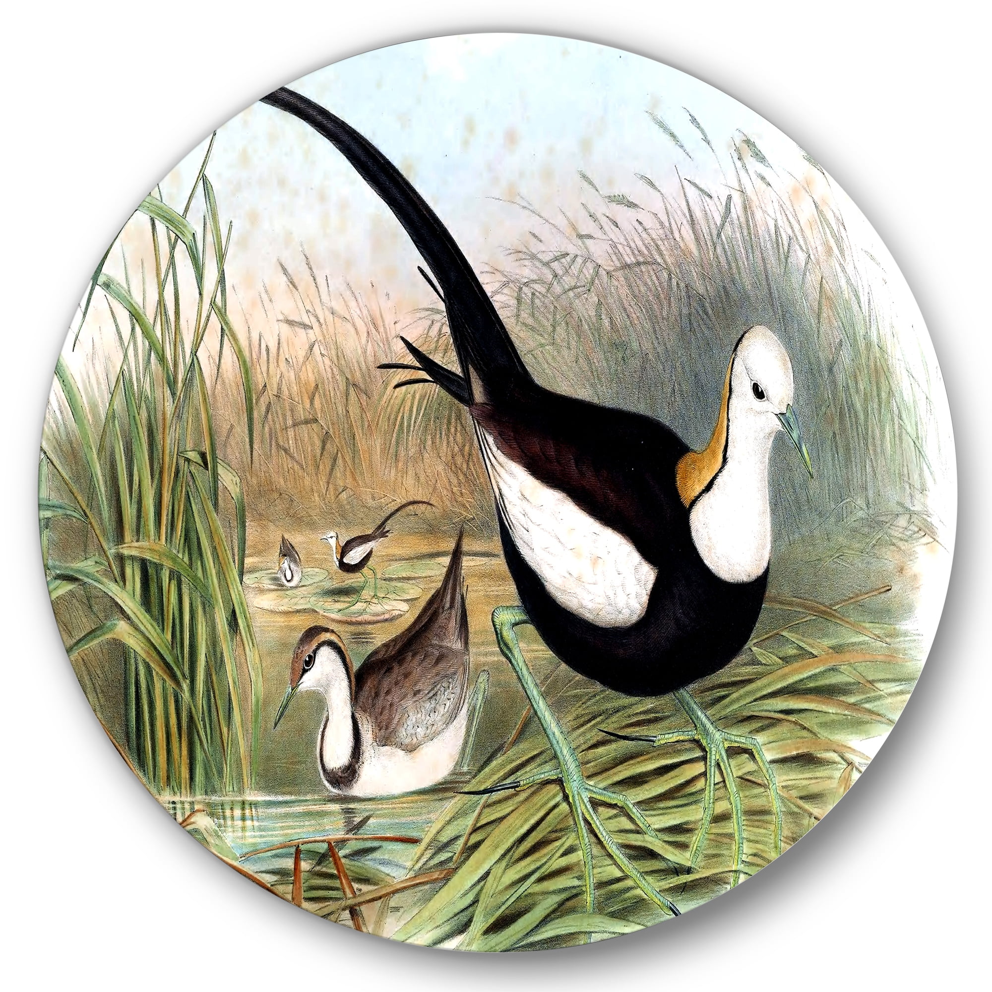 Designart 'Vintage Countryside Birds In Lake' Farmhouse Circle Metal Wall Art 36x36 - Disc of 36