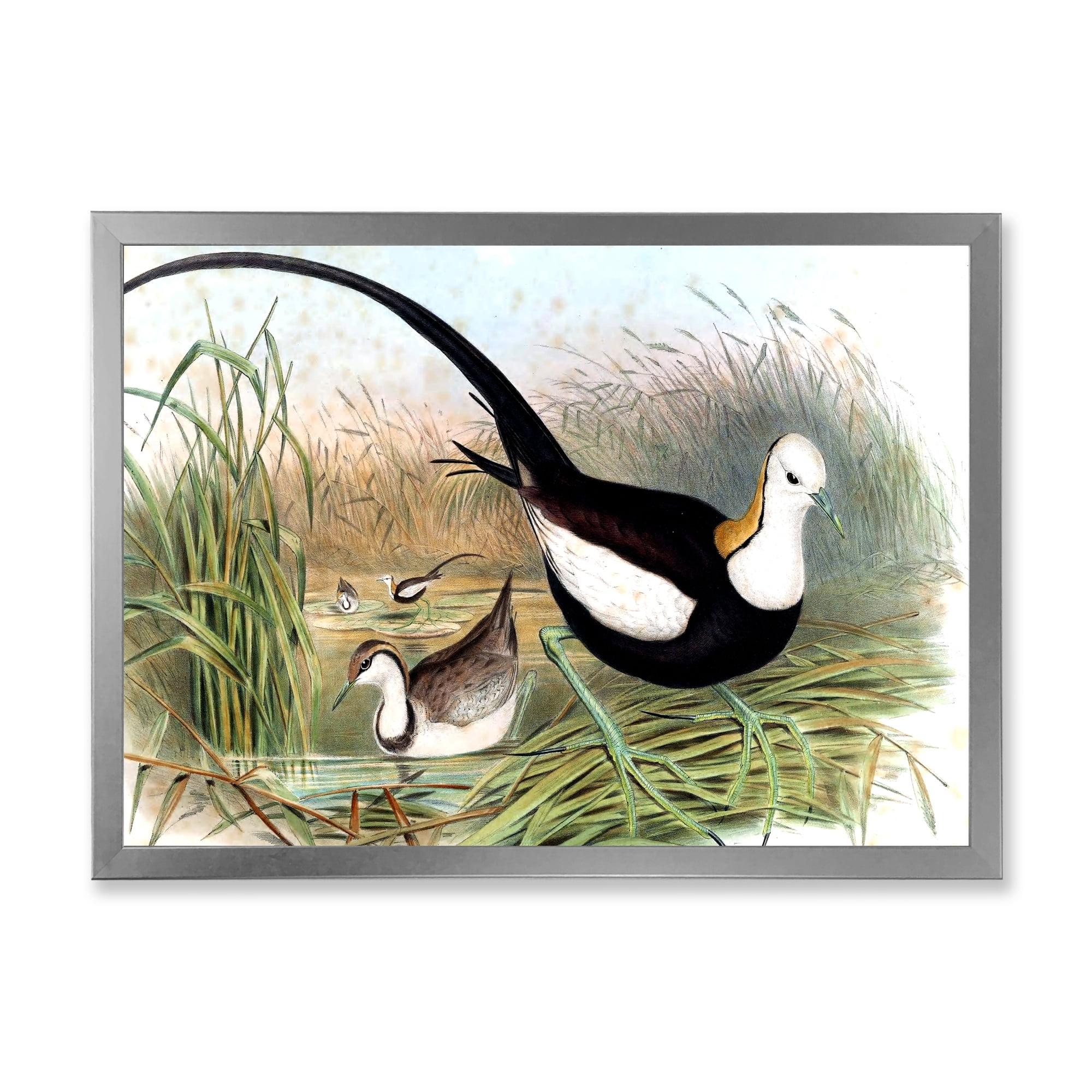 Designart 'Vintage Countryside Birds In Lake' Farmhouse Framed Art Print