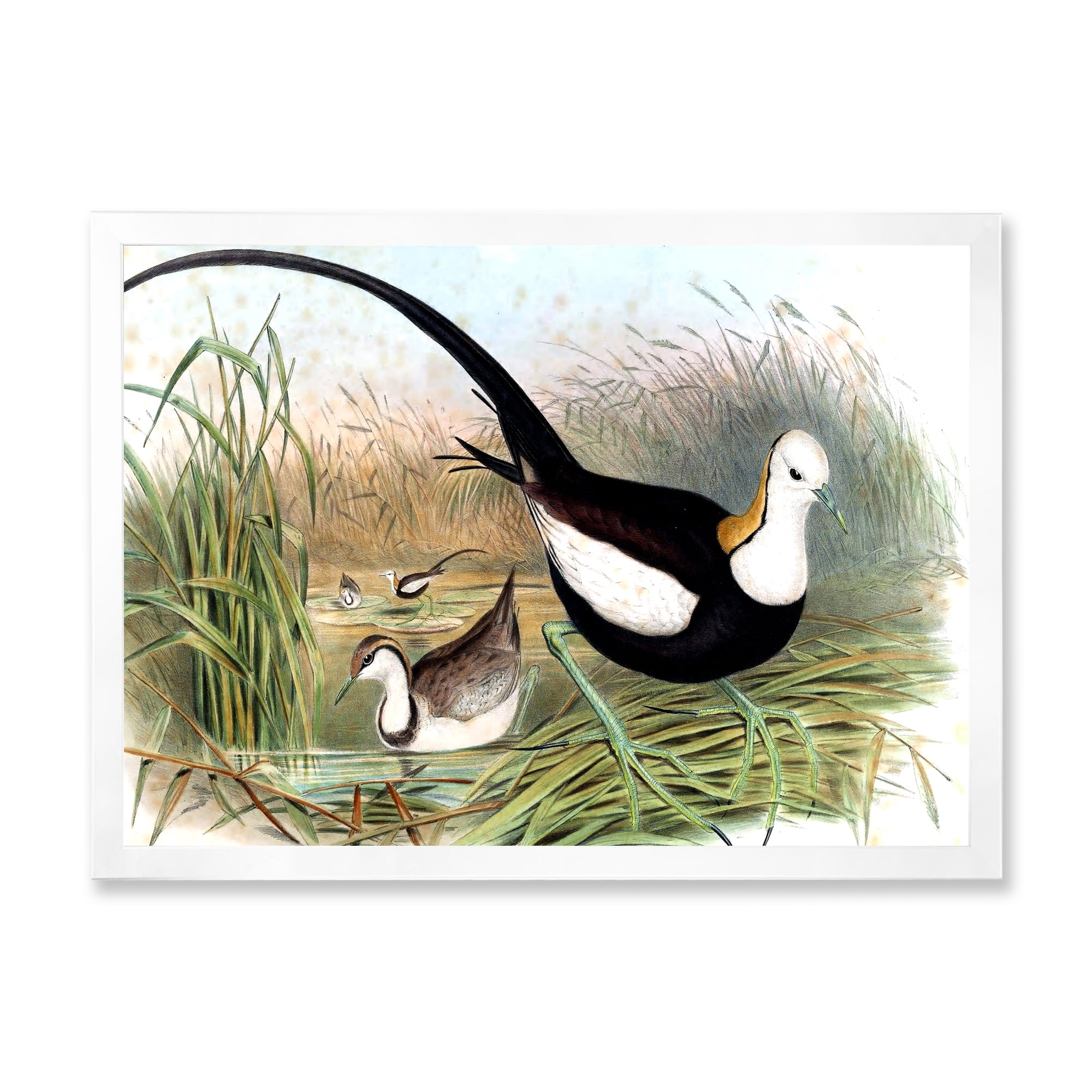 Designart 'Vintage Countryside Birds In Lake' Farmhouse Framed Art Print