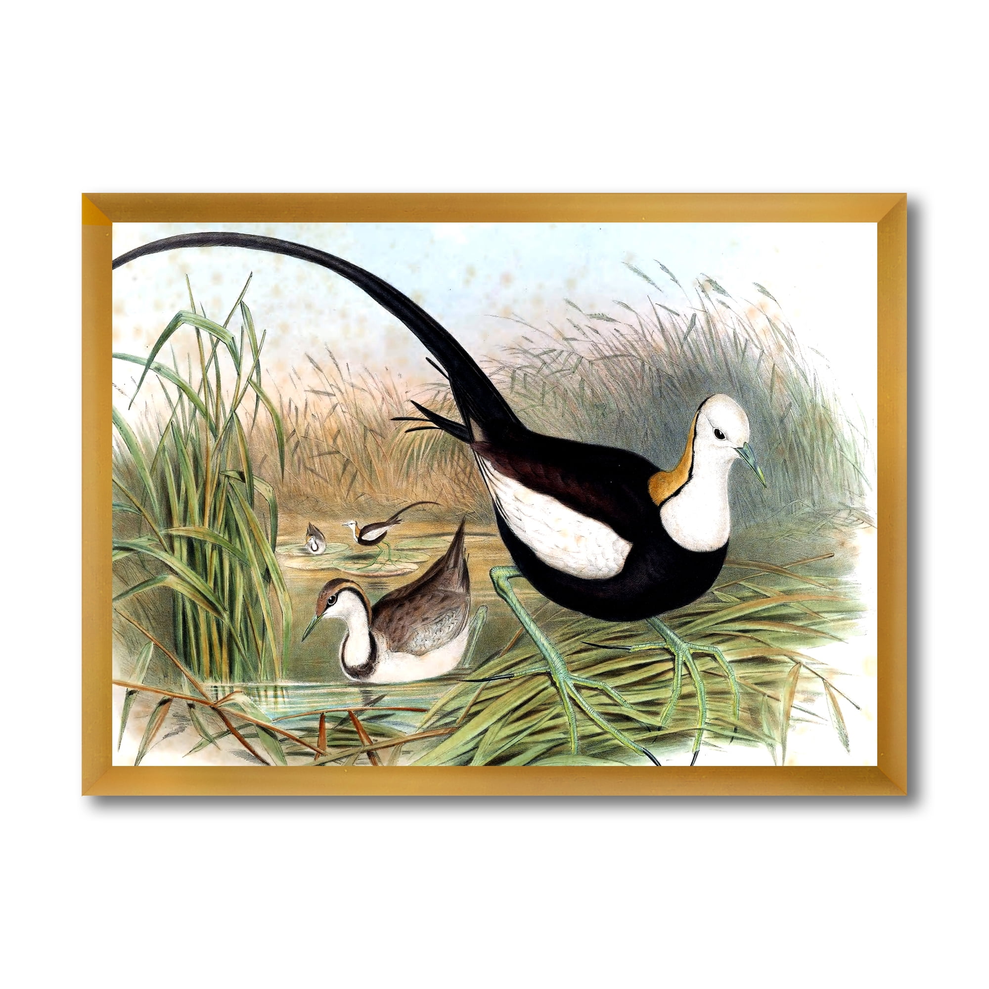 Designart 'Vintage Countryside Birds In Lake' Farmhouse Framed Art Print