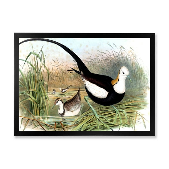 Designart 'Vintage Countryside Birds In Lake' Farmhouse Framed Art Print