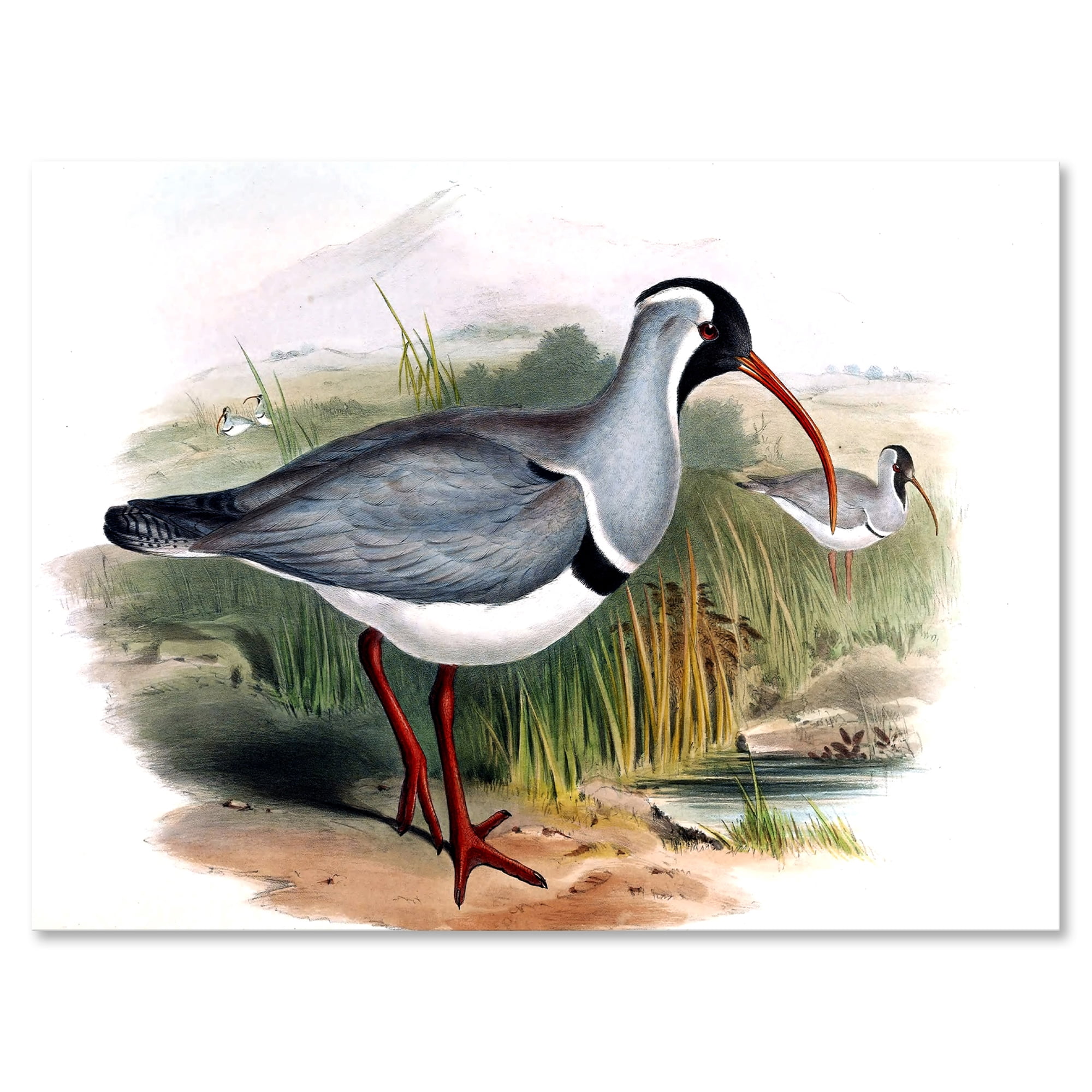Designart ' Vintage Countryside Birds In Wild ' Farmhouse Canvas Wall Art Print