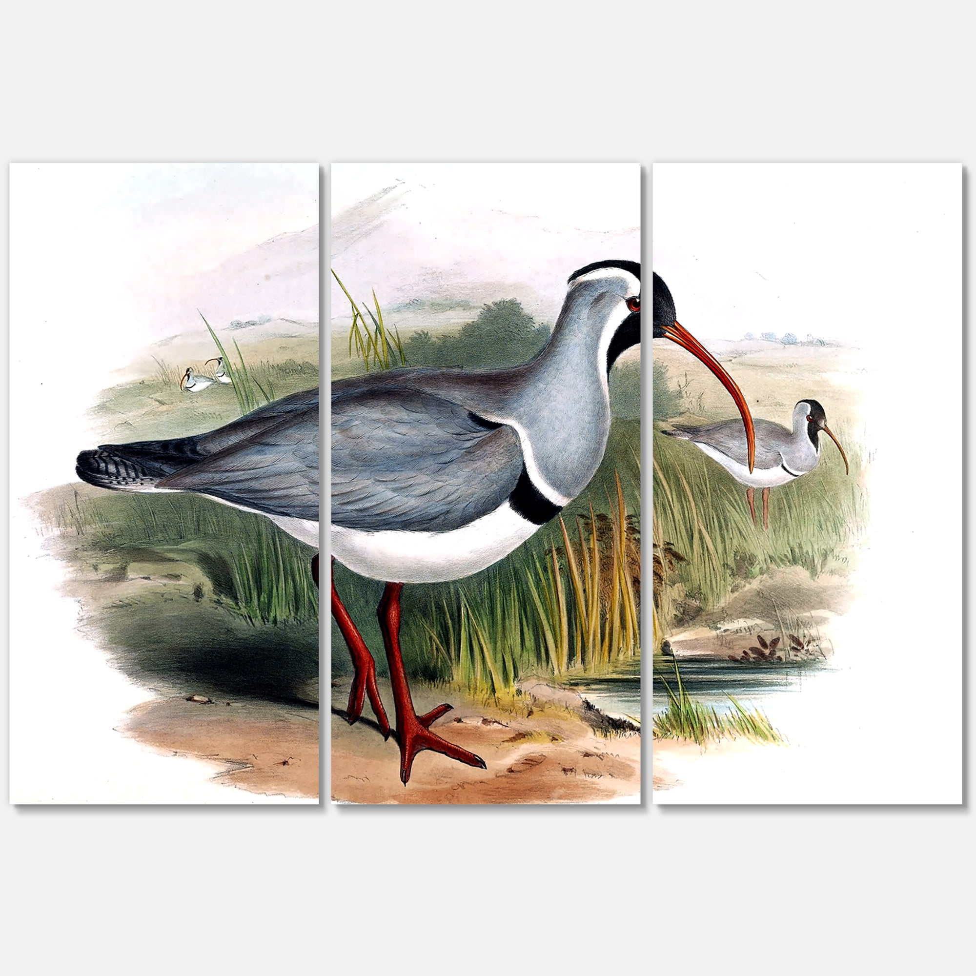 Designart ' Vintage Countryside Birds In Wild ' Farmhouse Canvas Wall Art Print