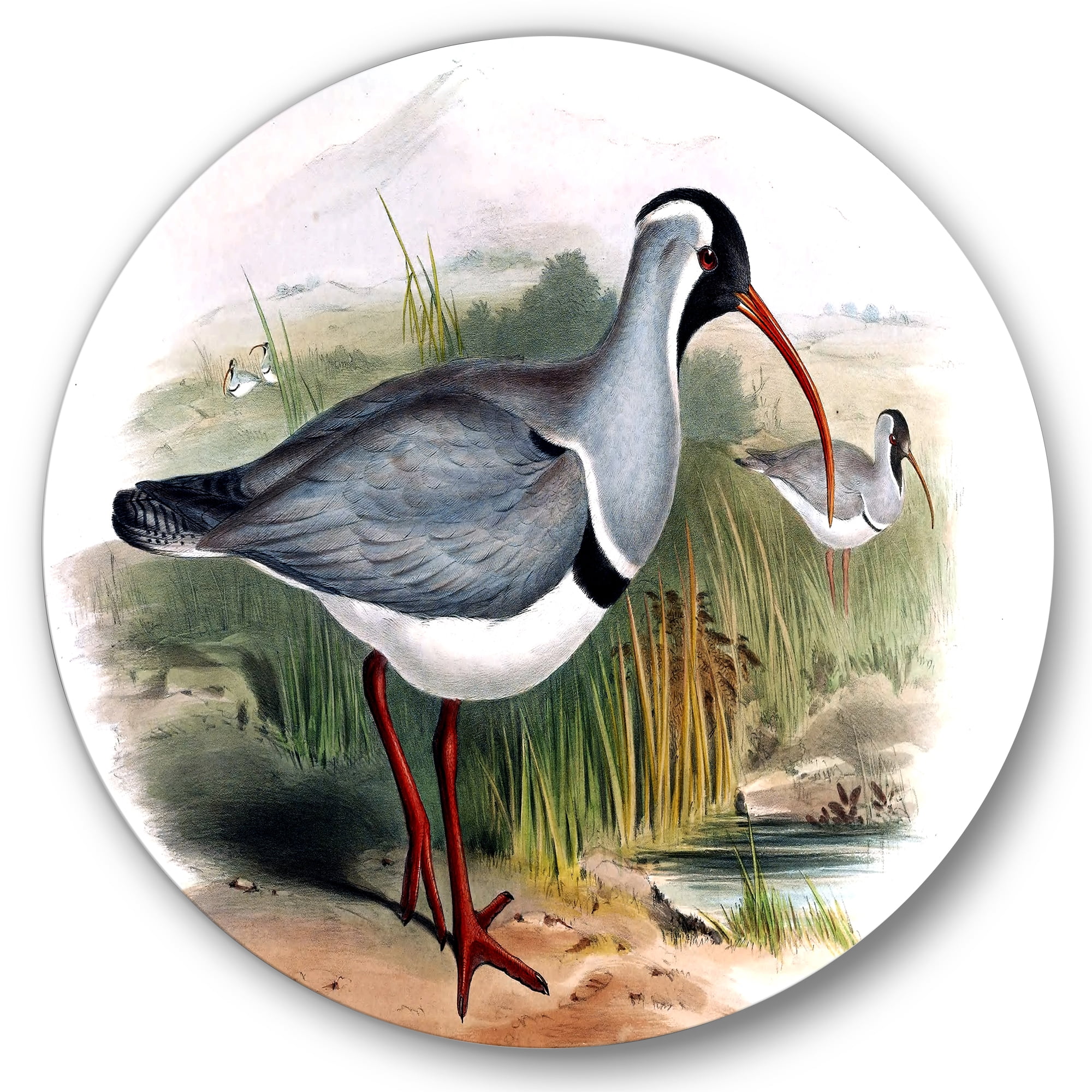 Designart 'Vintage Countryside Birds In Wild' Farmhouse Circle Metal Wall Art 11x11 - Disc of 11