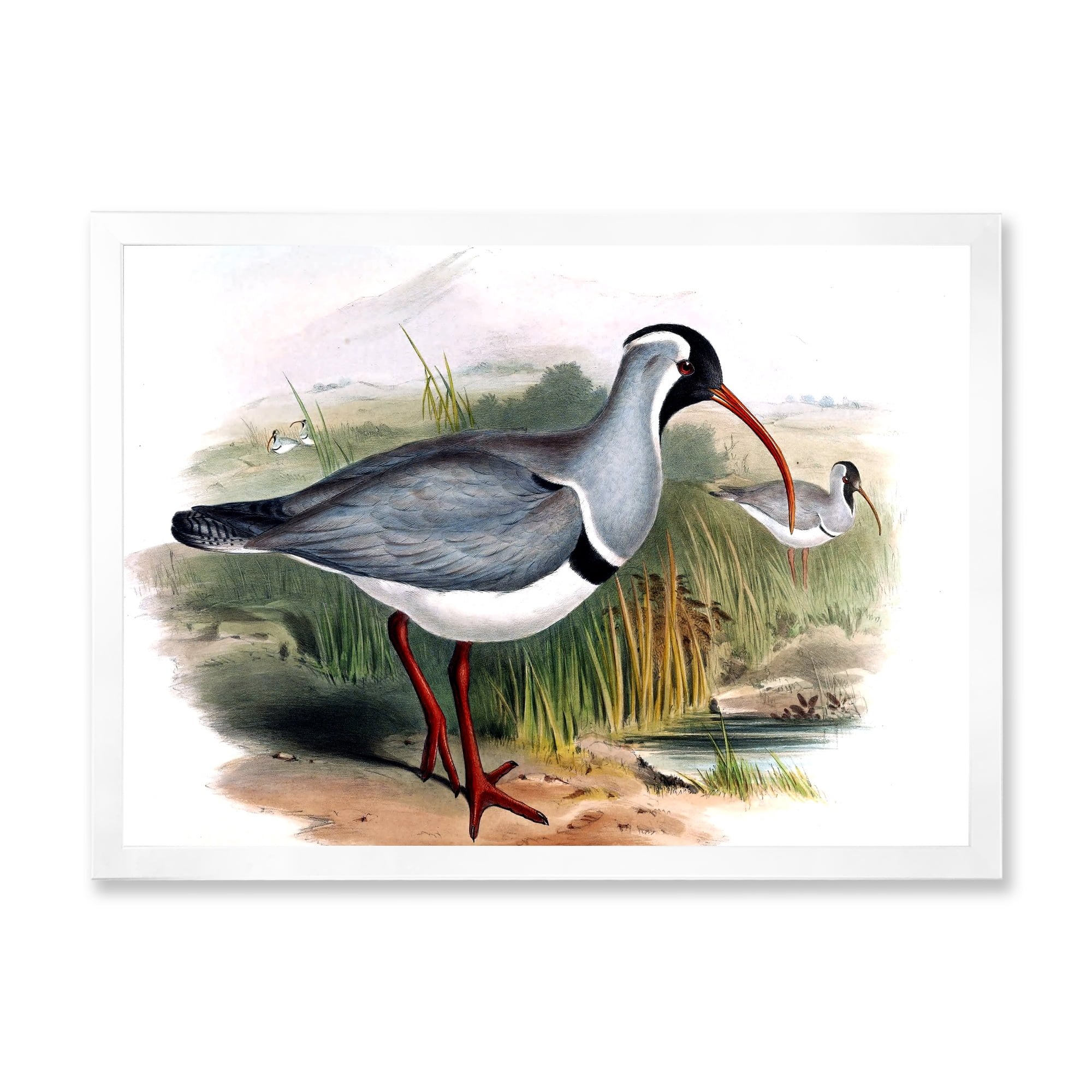 Designart 'Vintage Countryside Birds In Wild' Farmhouse Framed Art Print