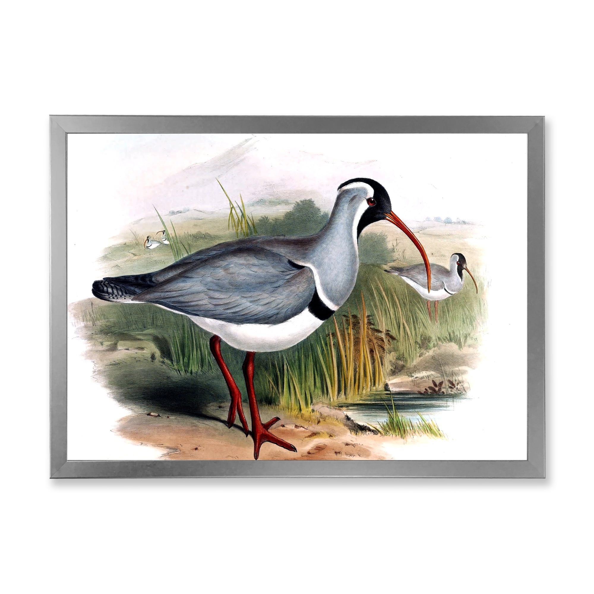 Designart 'Vintage Countryside Birds In Wild' Farmhouse Framed Art Print
